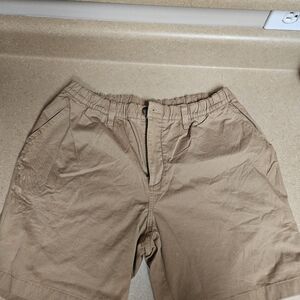 Tan Chubbies Shorts